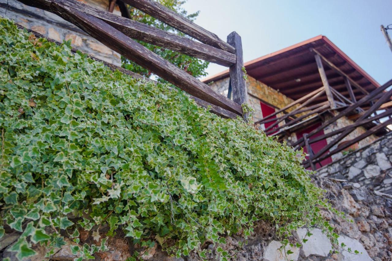 Stonehouse 2 Bedroom Chalet On Olympus Amazing View Pétra Zewnętrze zdjęcie